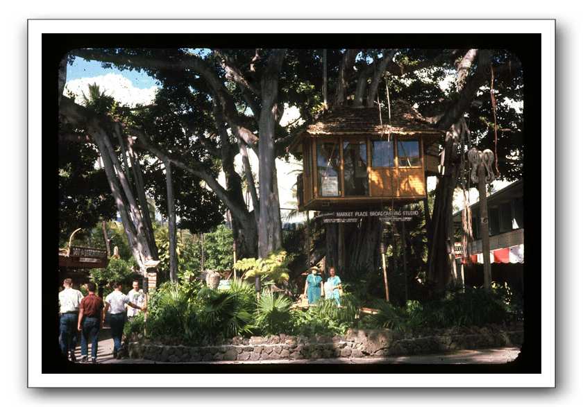 International-Market-0