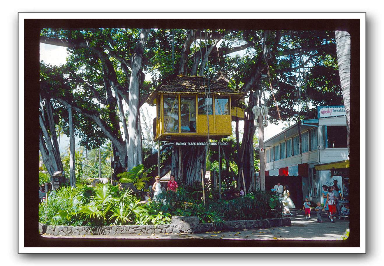 International-Market-0a