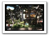 International-Market-0