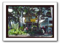 International-Market-0a