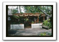 International-Market-3